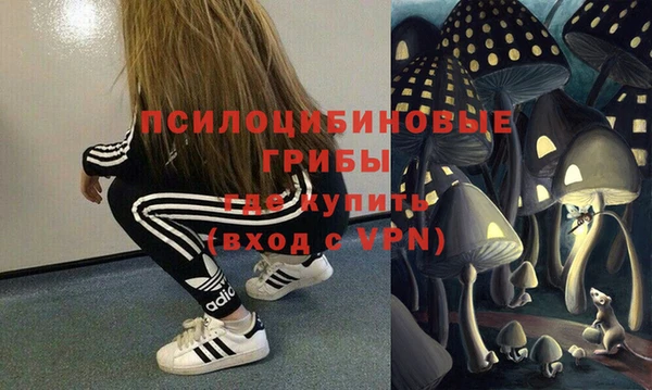 mdpv Козельск