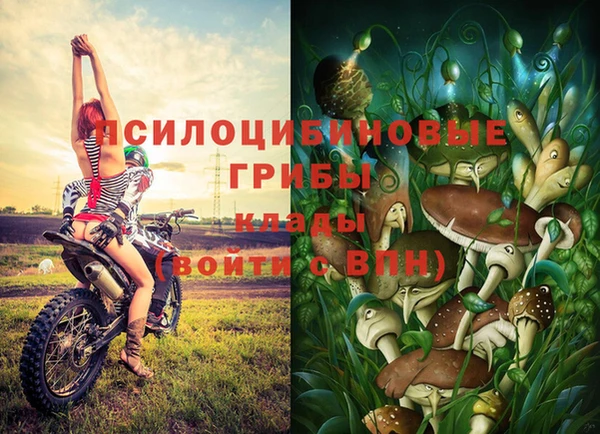 mdma Козловка